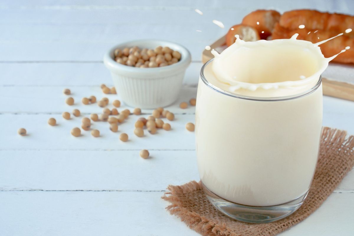 Soy milk powder for plant-based food